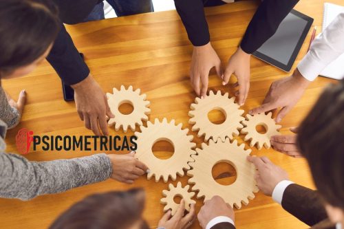 Es indispensable cultivar y retener al talento mediante la garantía de estabilidad laboral establecida por normativas que aplican en la gestión de talento.