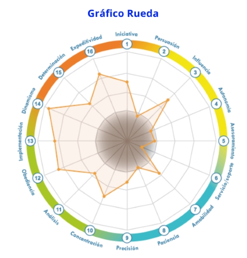 Grafico de Rueda en Perfil Conductual